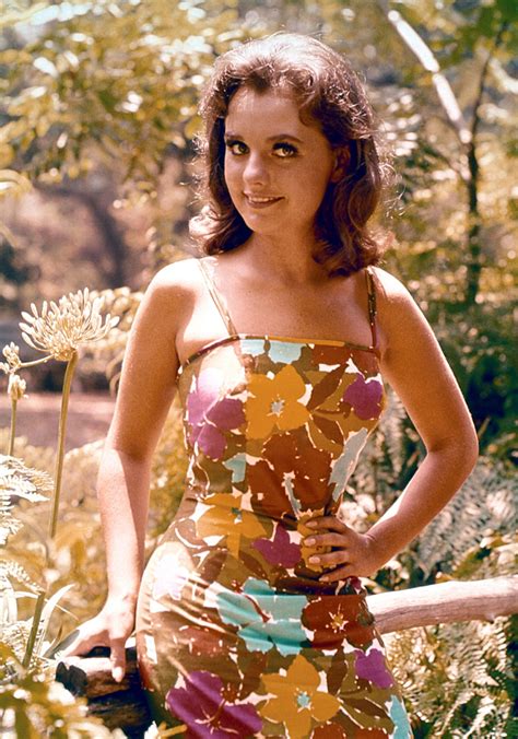 Dawn Wells pictures and photos